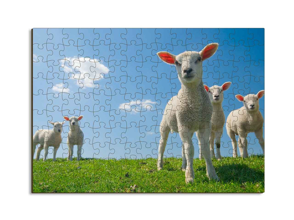 Puzzle - 150 Piece-  Rectangle  A3