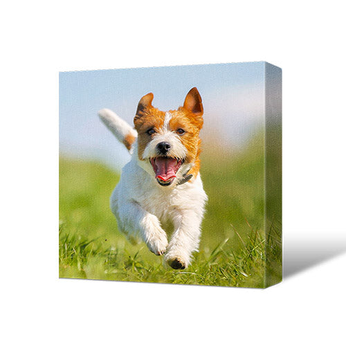 24x24" (60x60cm) Canvas Prints