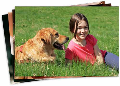 6x9" (15x23cm) Photo Print