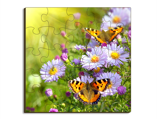 Puzzle - 25 Piece - Square (Temporarily Out of Stock)