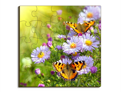 Puzzle - 25 Piece - Square